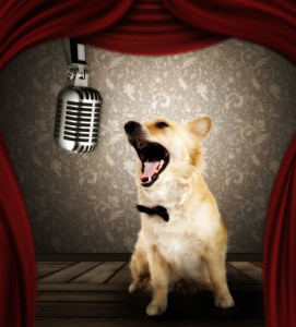 dog singing on microphone