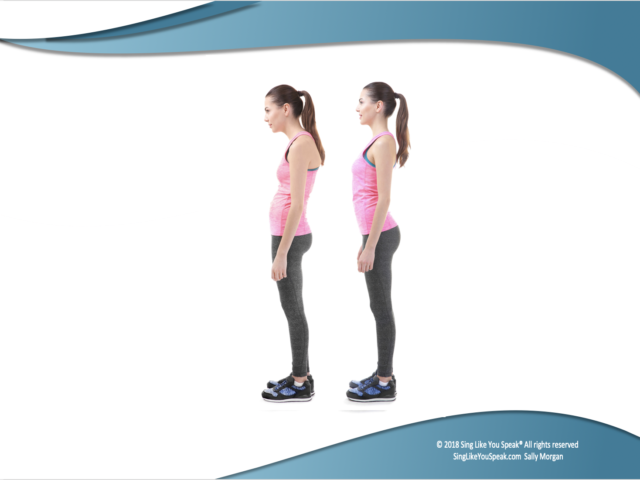 Good/Bad Posture